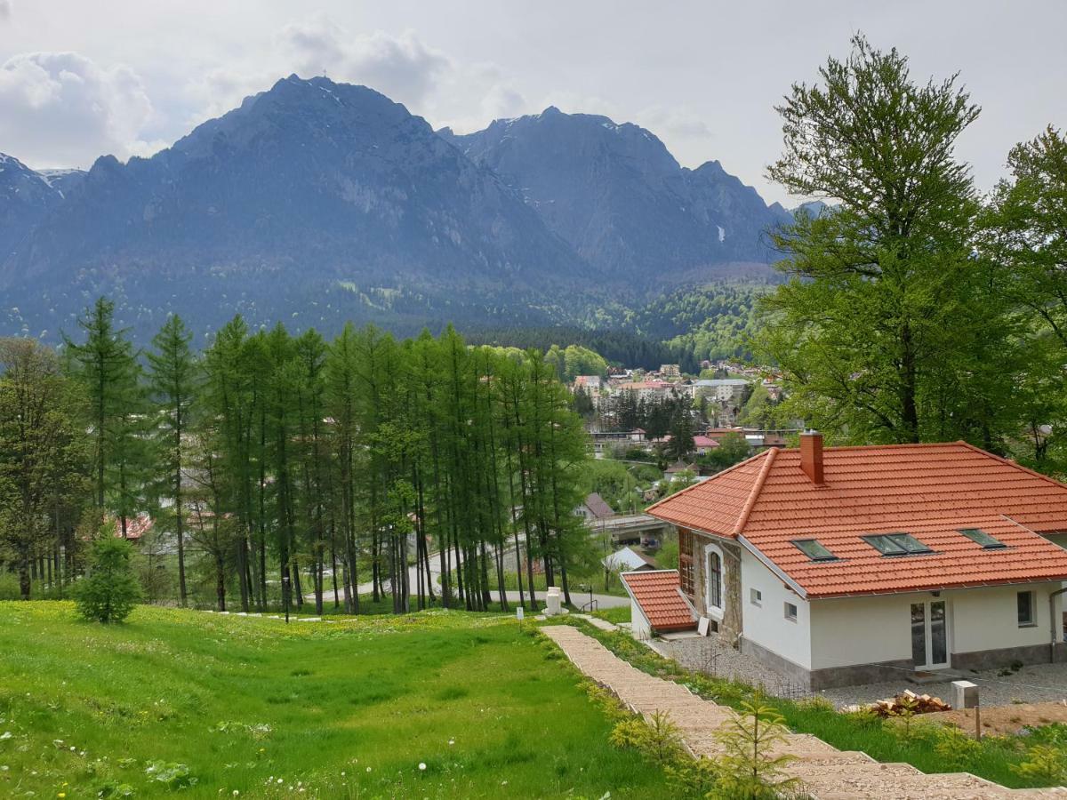 Castelul Cantacuzino Buşteni Buitenkant foto