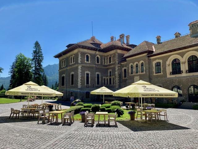 Castelul Cantacuzino Buşteni Buitenkant foto
