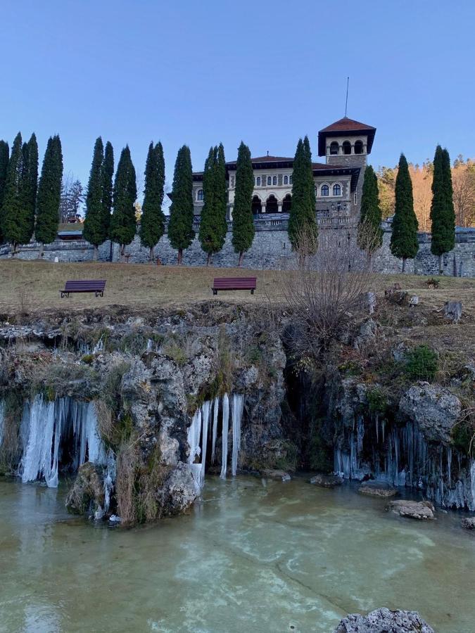 Castelul Cantacuzino Buşteni Buitenkant foto